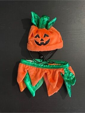 BUY 2 GET 3rd FREE Cat or Dog pumpkin costume XS/S